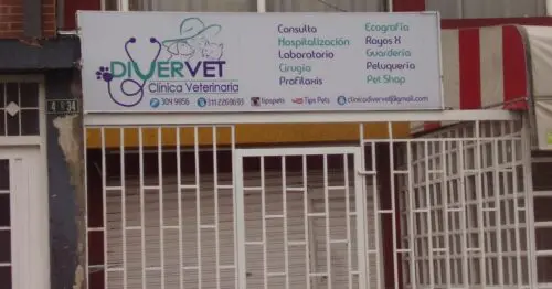 CLINICA VETERINARIA DIVER VET CLINICA VETERINARIA DIVER VET